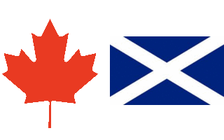 Comments and Suggestions